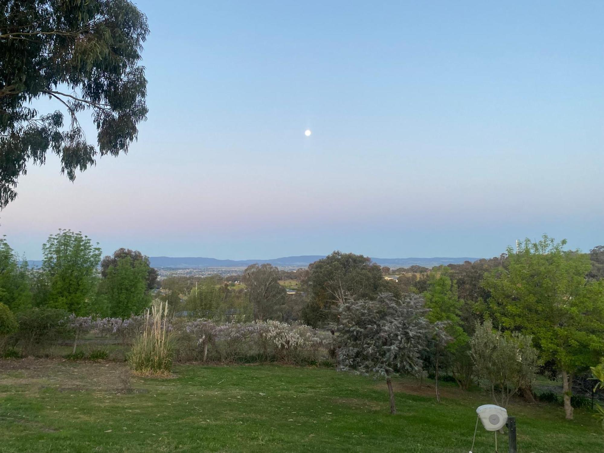 Darcy'S Ranch Hotel Bathurst Bagian luar foto